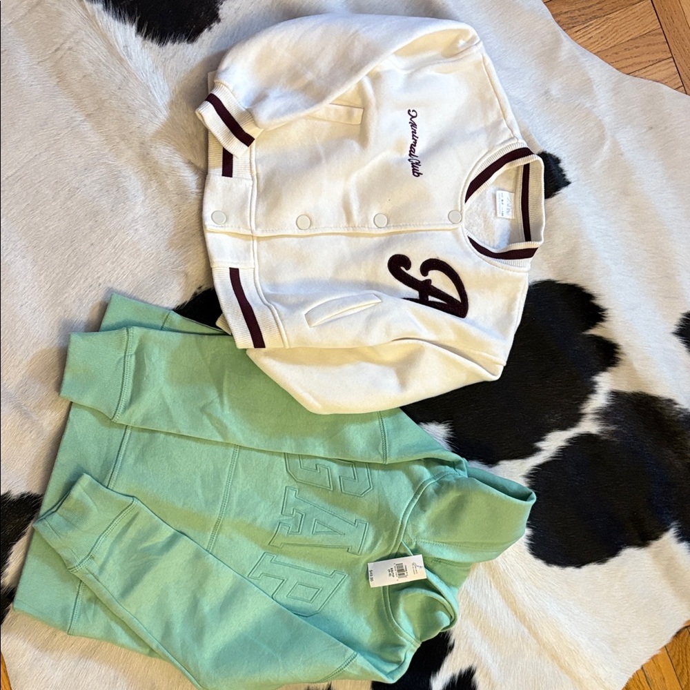 GAP Mint Green Hoodie and Zara Bomber